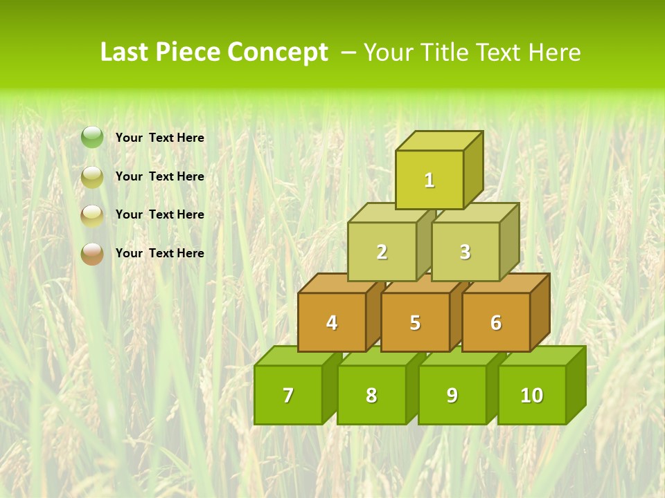 Rice Paddy PowerPoint Template