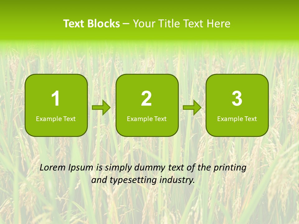 Rice Paddy PowerPoint Template