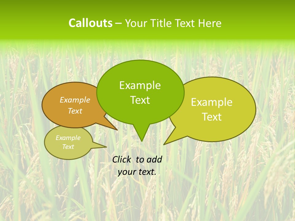 Rice Paddy PowerPoint Template