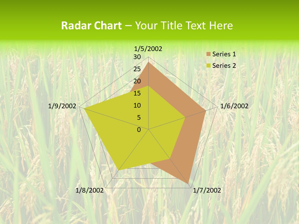 Rice Paddy PowerPoint Template
