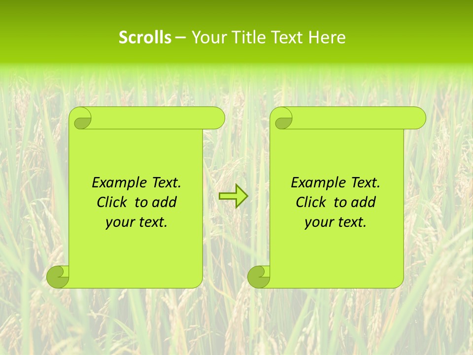 Rice Paddy PowerPoint Template