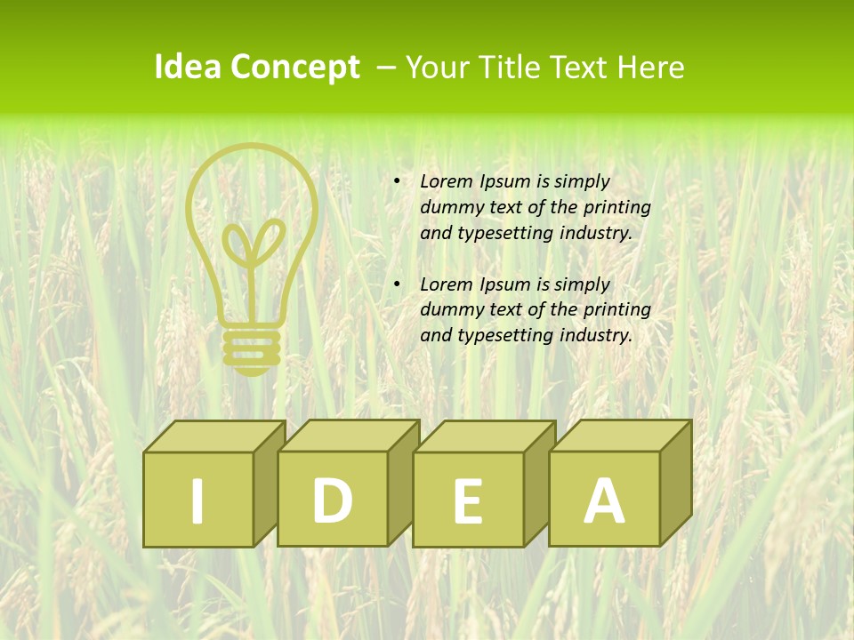 Rice Paddy PowerPoint Template