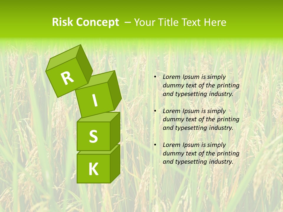 Rice Paddy PowerPoint Template