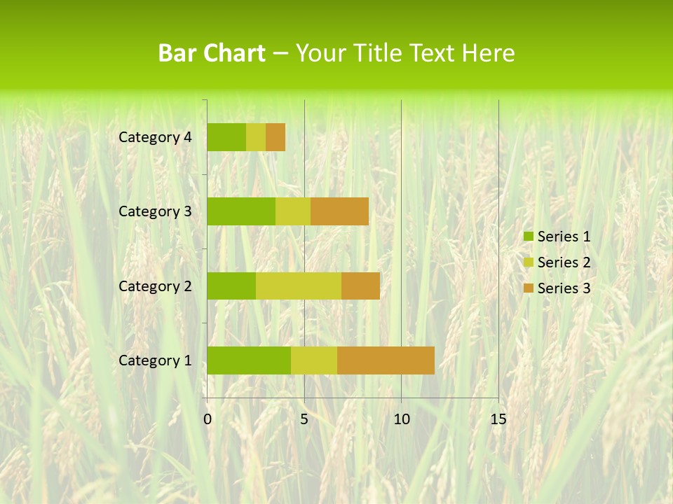 Rice Paddy PowerPoint Template