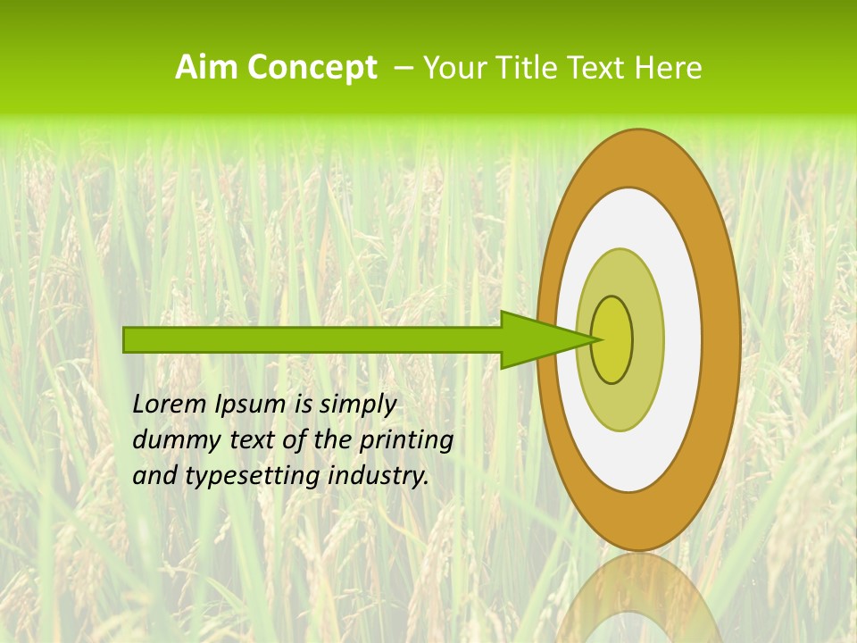 Rice Paddy PowerPoint Template