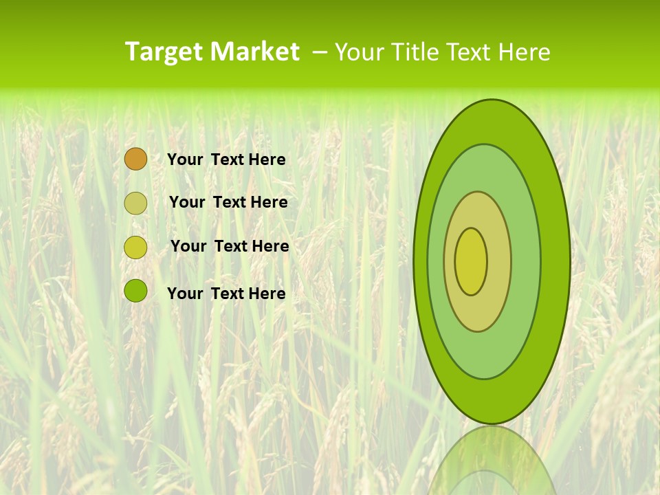 Rice Paddy PowerPoint Template