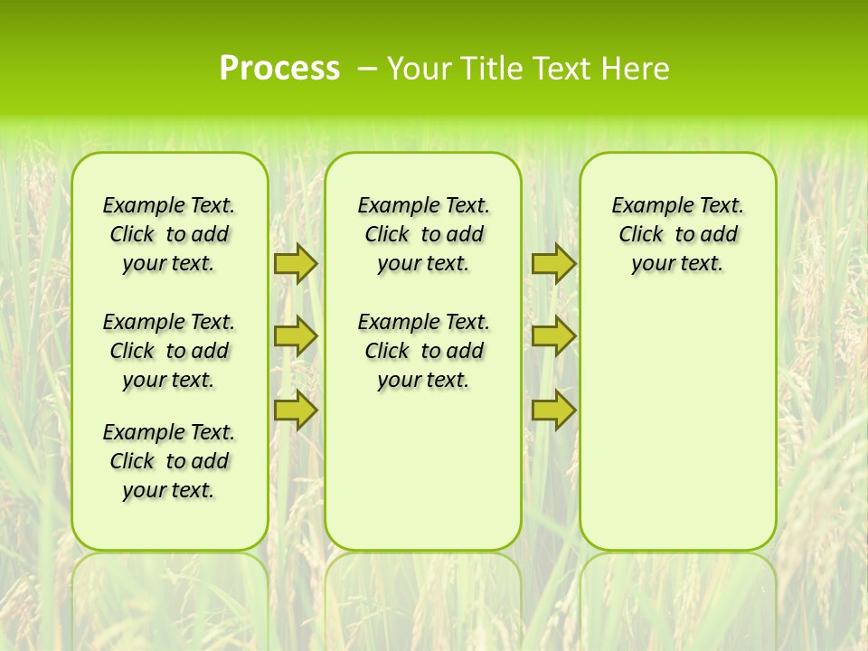 Rice Paddy PowerPoint Template