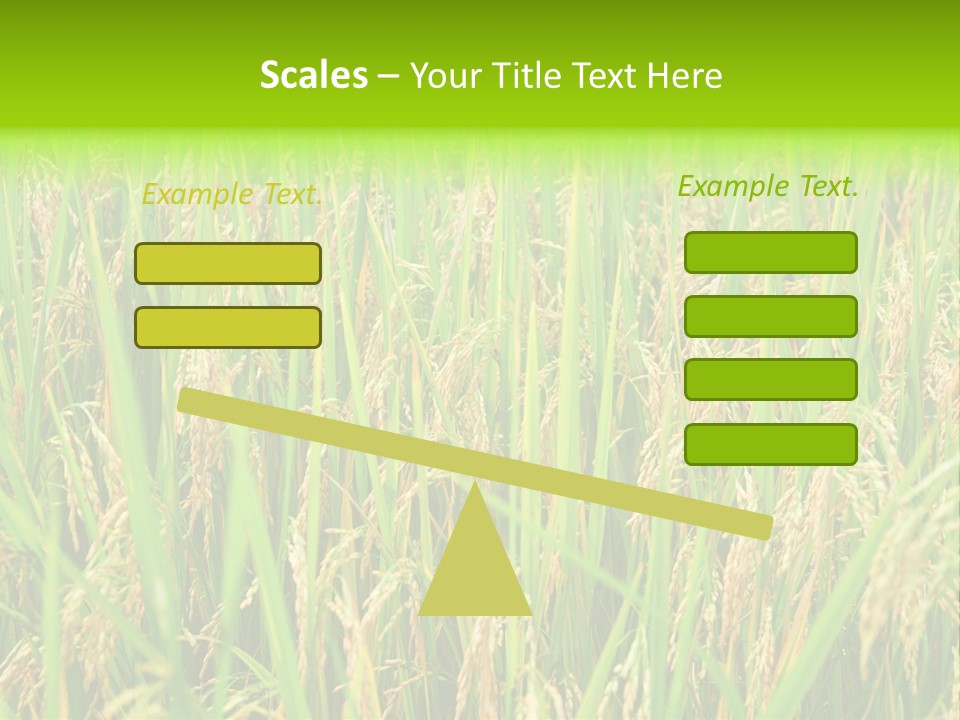 Rice Paddy PowerPoint Template
