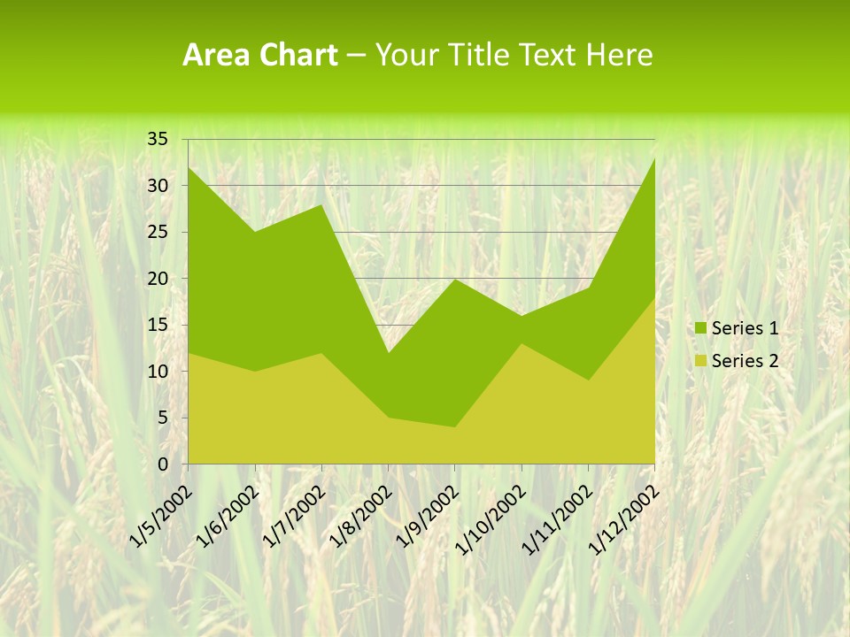 Rice Paddy PowerPoint Template