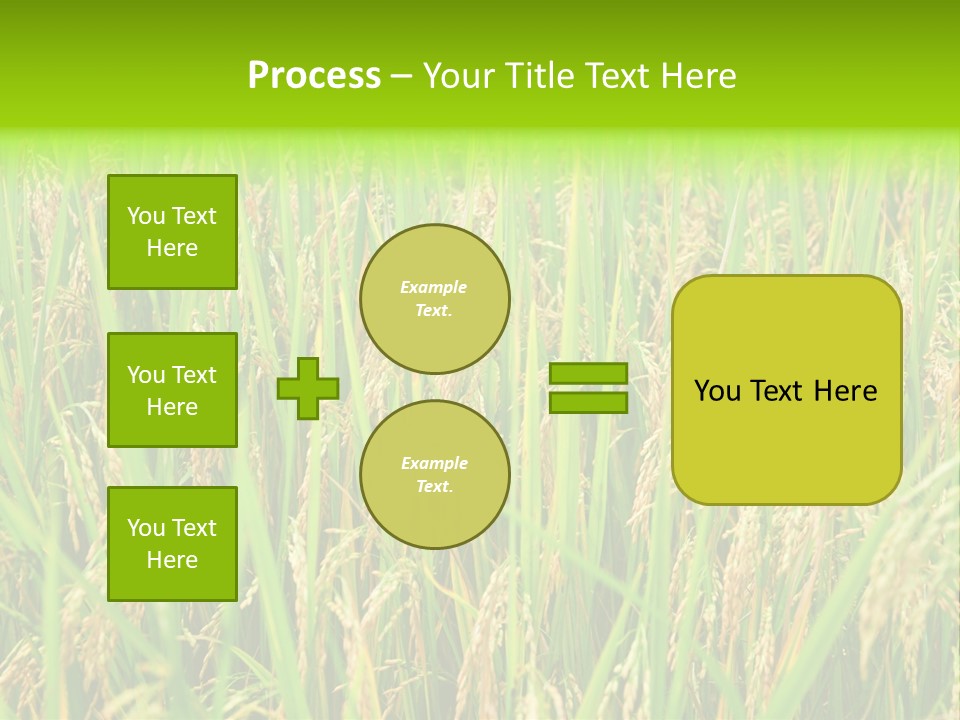 Rice Paddy PowerPoint Template