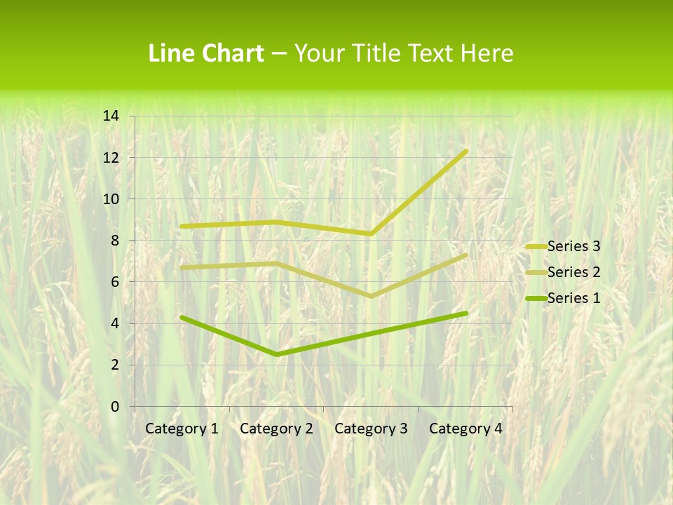 Rice Paddy PowerPoint Template