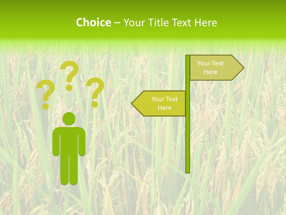 Rice Paddy PowerPoint Template