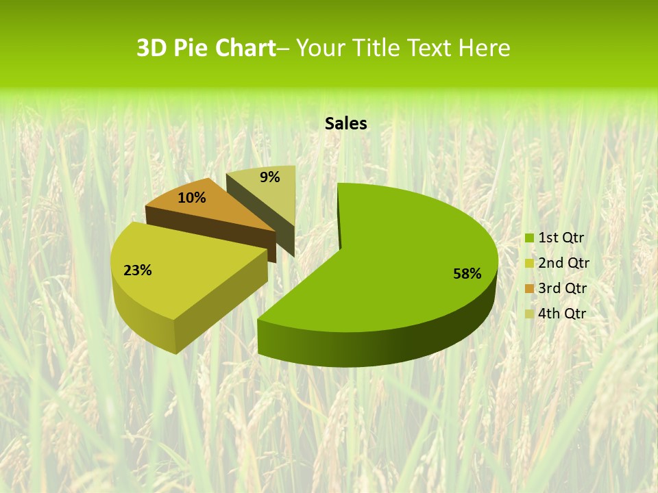 Rice Paddy PowerPoint Template