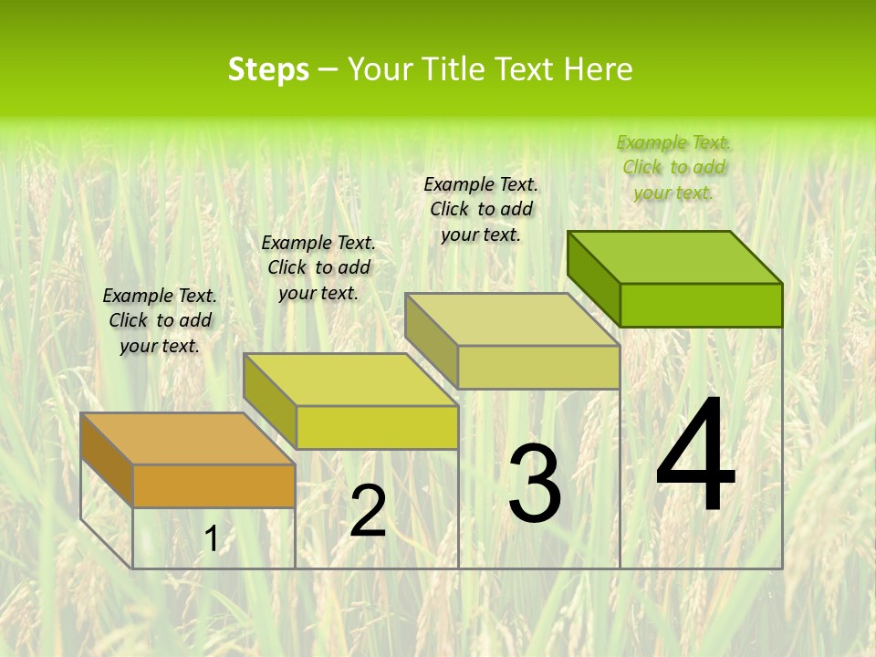 Rice Paddy PowerPoint Template