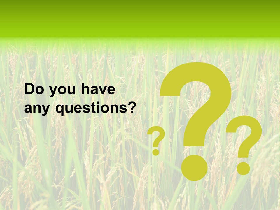 Rice Paddy PowerPoint Template