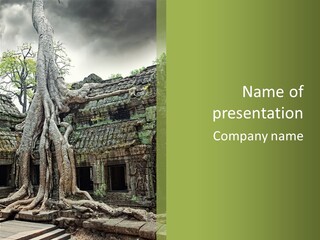 Ta Prohm Tree PowerPoint Template
