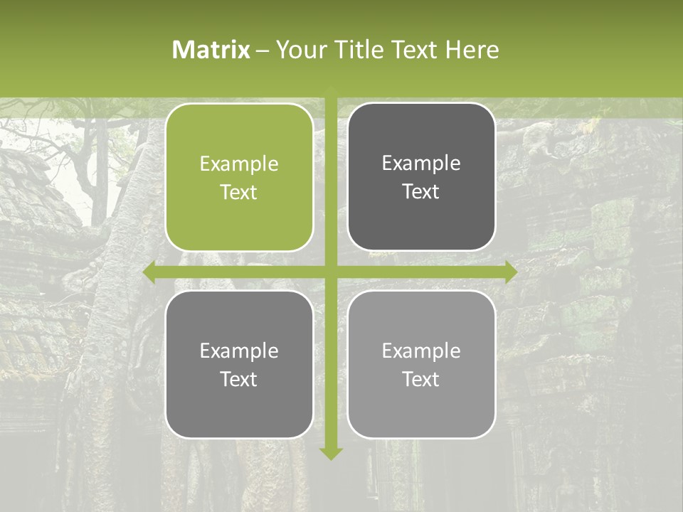 Ta Prohm Tree PowerPoint Template