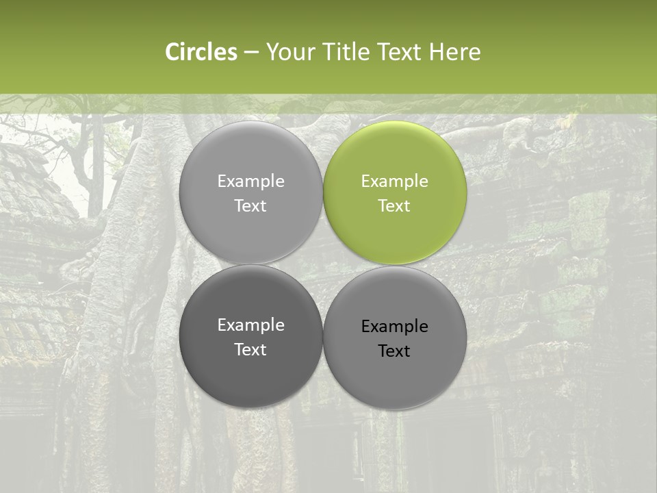 Ta Prohm Tree PowerPoint Template