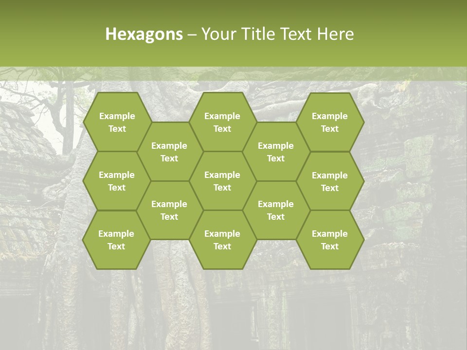 Ta Prohm Tree PowerPoint Template