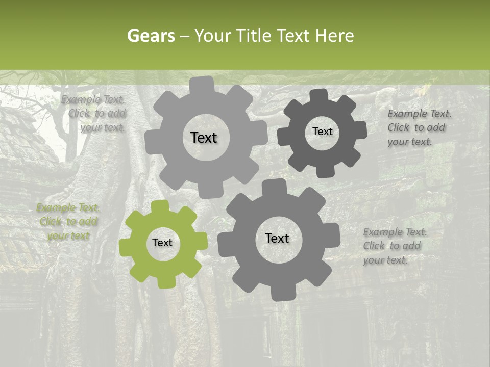 Ta Prohm Tree PowerPoint Template