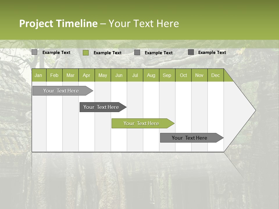Ta Prohm Tree PowerPoint Template