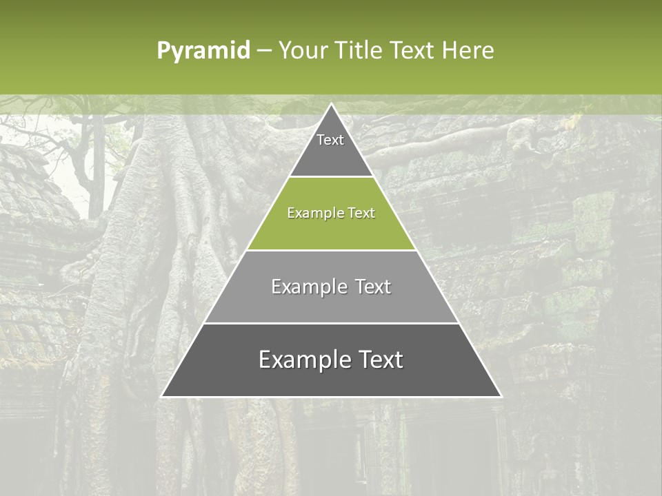 Ta Prohm Tree PowerPoint Template