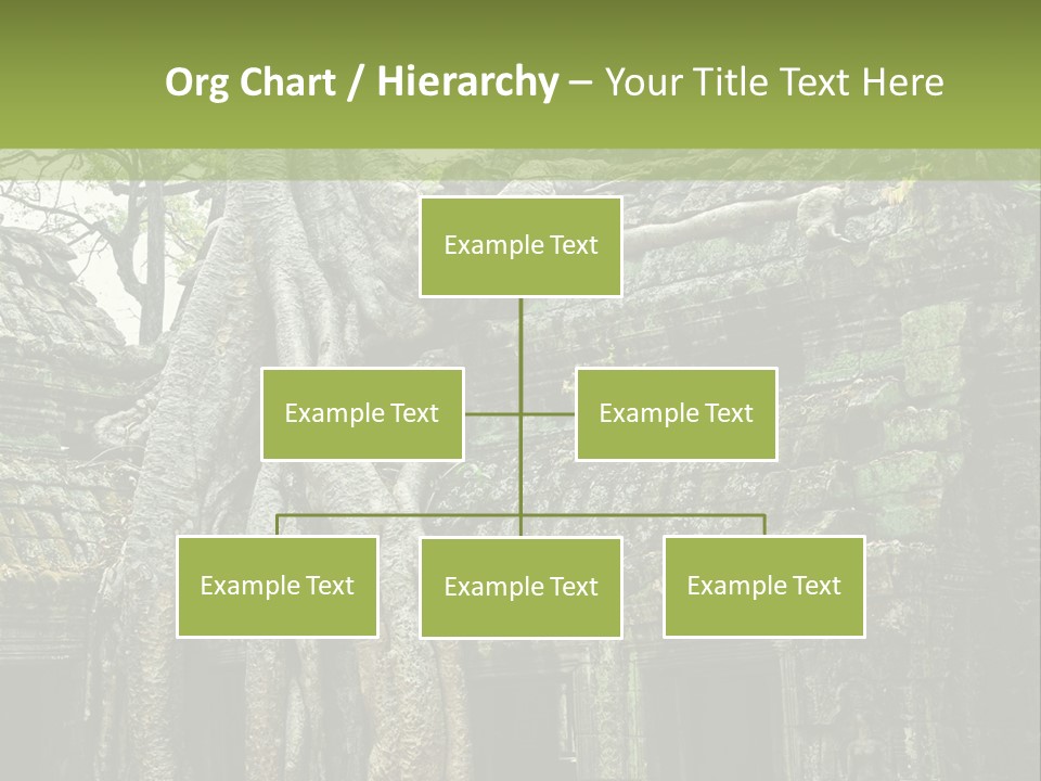 Ta Prohm Tree PowerPoint Template