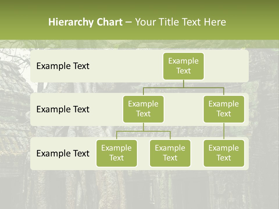 Ta Prohm Tree PowerPoint Template