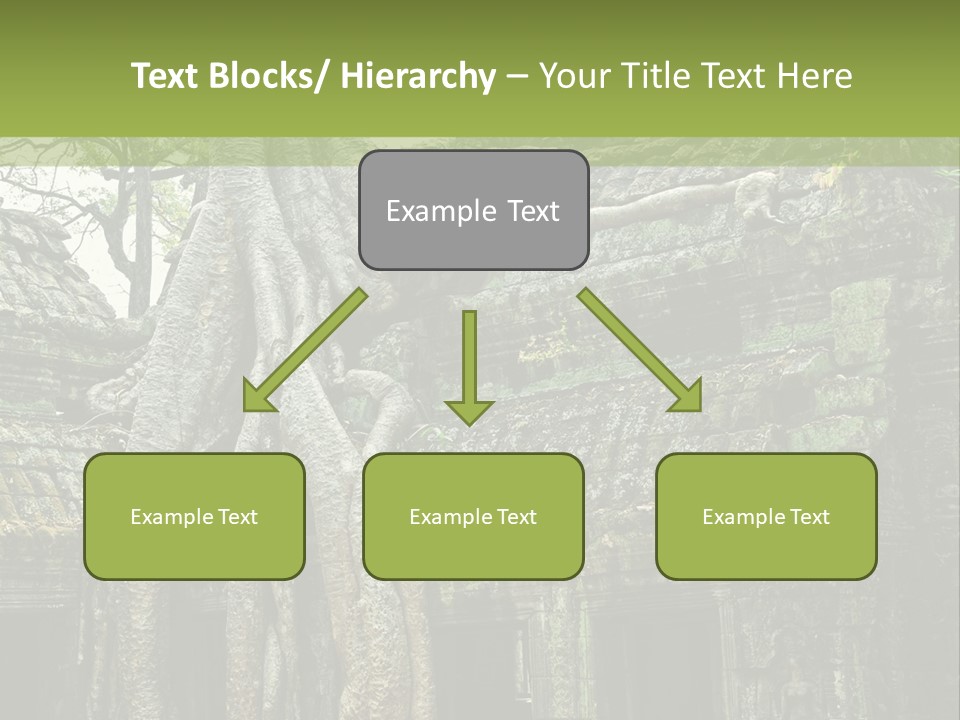 Ta Prohm Tree PowerPoint Template