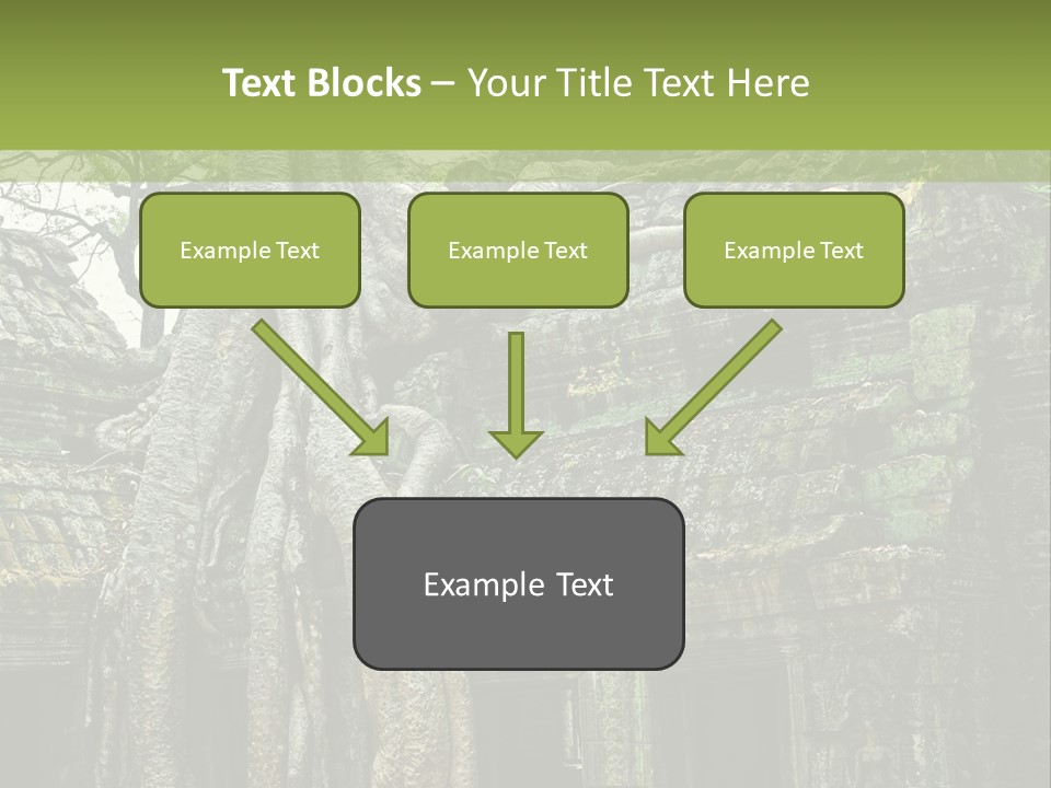 Ta Prohm Tree PowerPoint Template