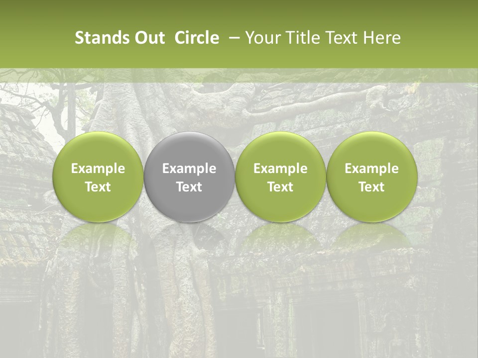 Ta Prohm Tree PowerPoint Template