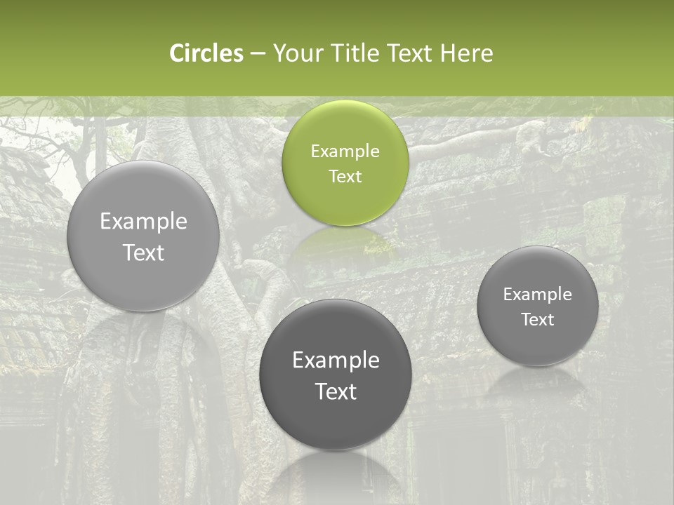 Ta Prohm Tree PowerPoint Template