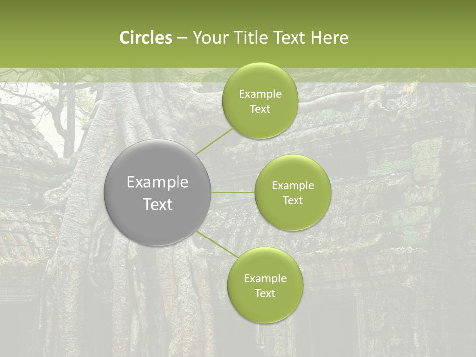 Ta Prohm Tree PowerPoint Template