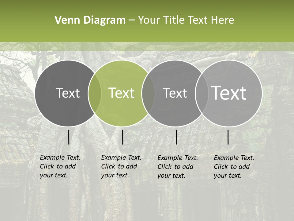 Ta Prohm Tree PowerPoint Template