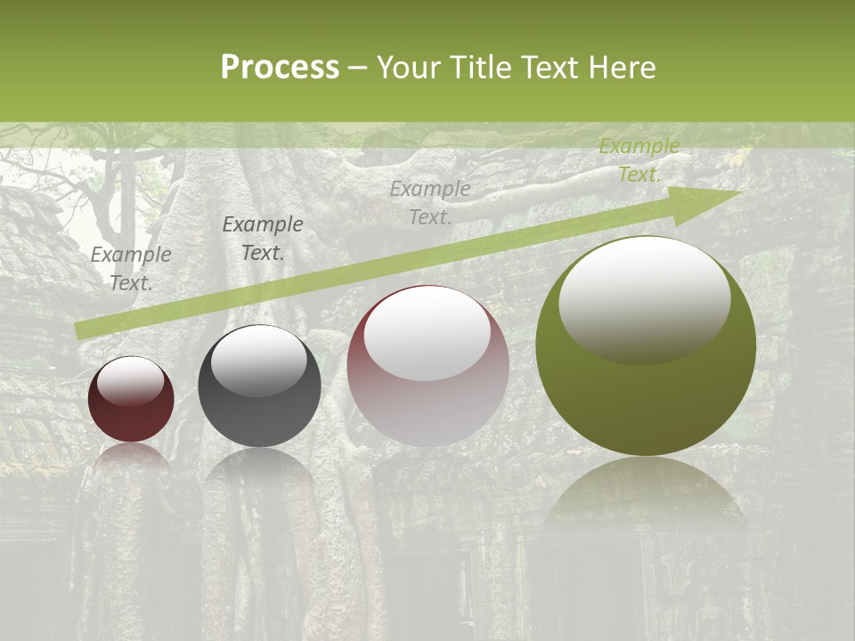 Ta Prohm Tree PowerPoint Template