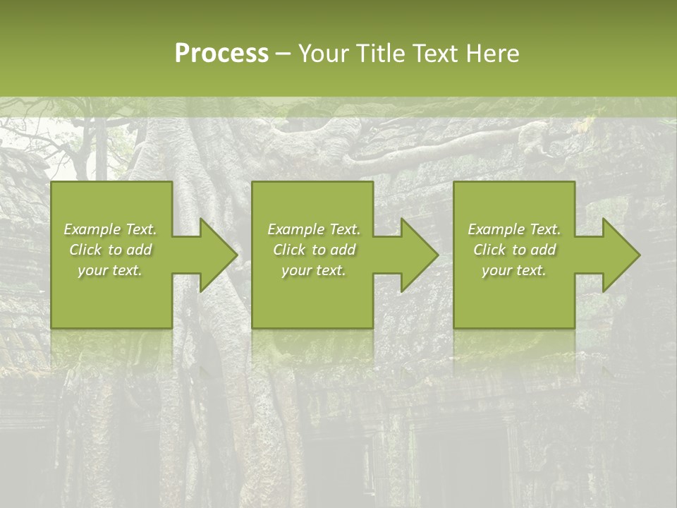 Ta Prohm Tree PowerPoint Template