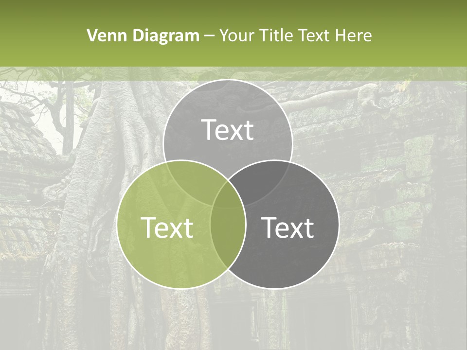 Ta Prohm Tree PowerPoint Template