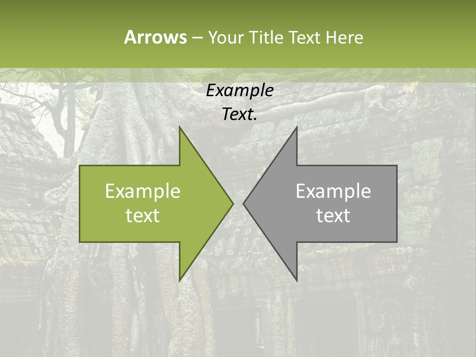 Ta Prohm Tree PowerPoint Template
