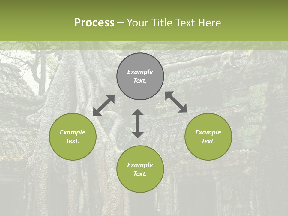 Ta Prohm Tree PowerPoint Template