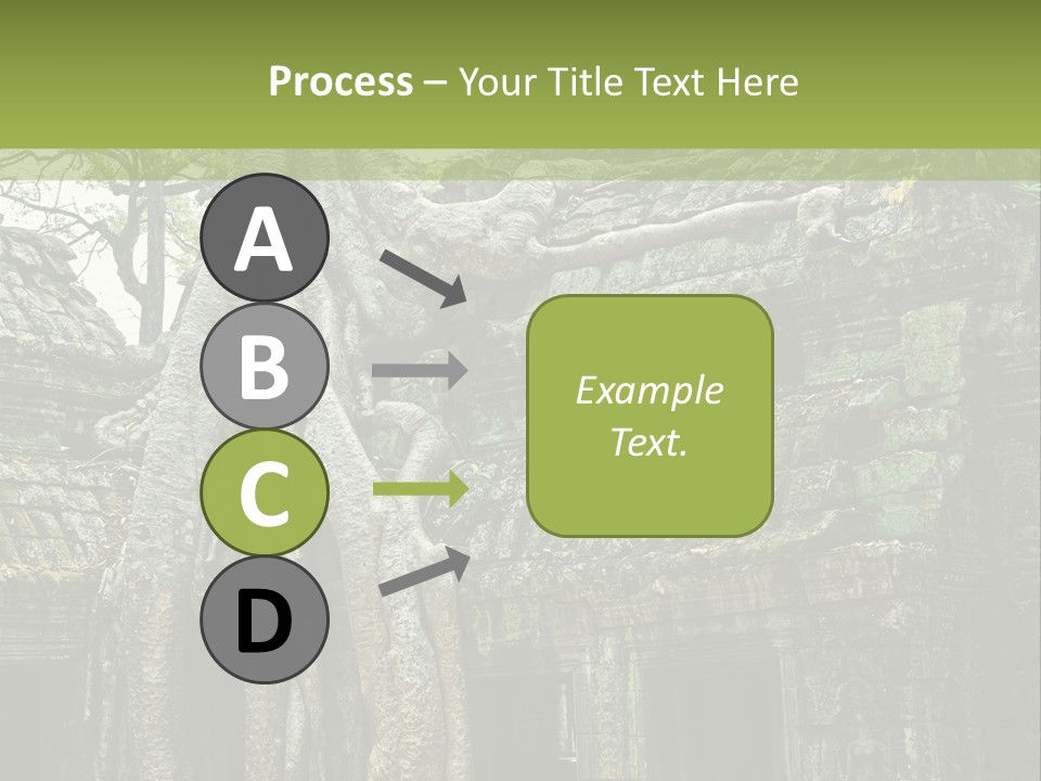 Ta Prohm Tree PowerPoint Template