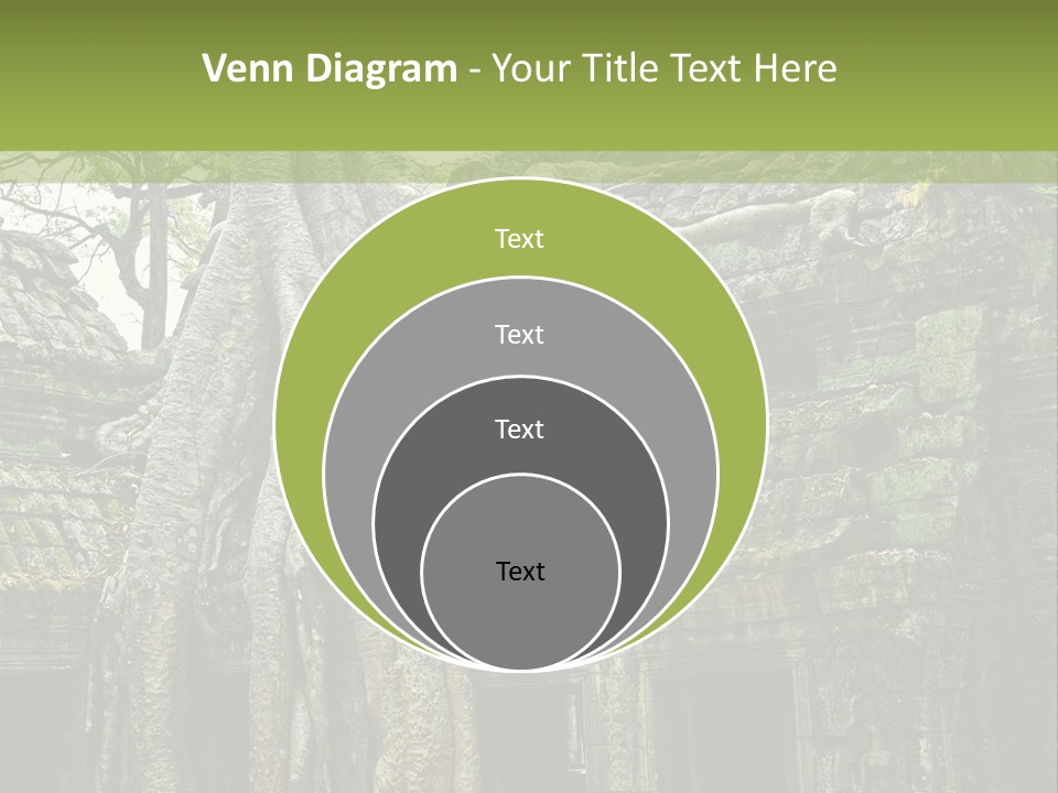Ta Prohm Tree PowerPoint Template