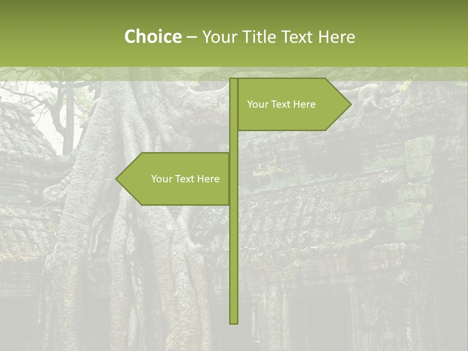 Ta Prohm Tree PowerPoint Template