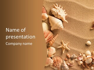 Sand Sea Shells PowerPoint Template