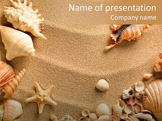 Seashells On Sand PowerPoint Template