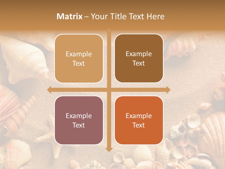 Seashells On Sand PowerPoint Template
