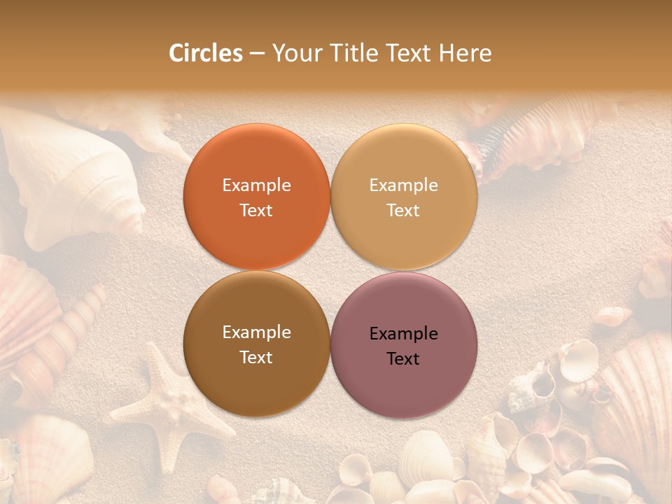 Seashells On Sand PowerPoint Template