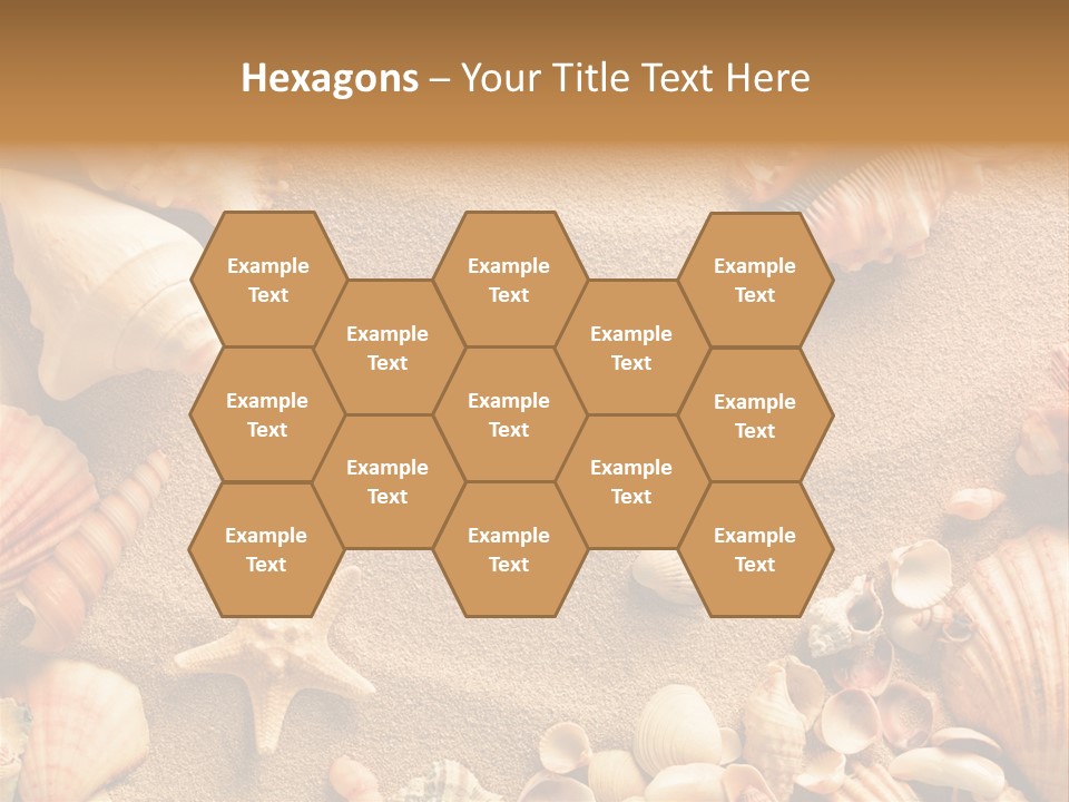 Seashells On Sand PowerPoint Template
