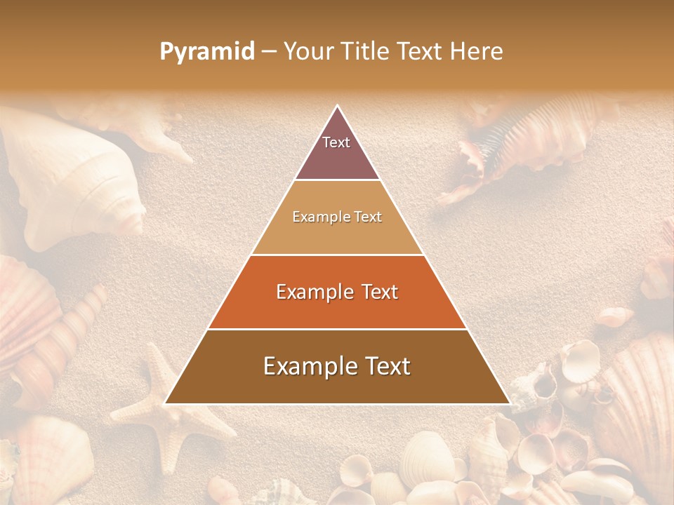 Seashells On Sand PowerPoint Template