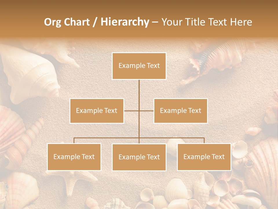 Seashells On Sand PowerPoint Template