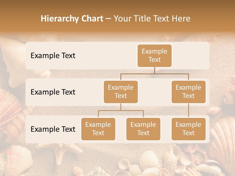 Seashells On Sand PowerPoint Template